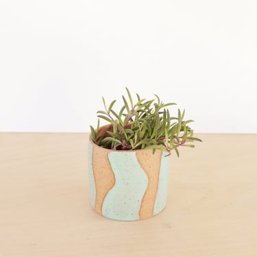 Colorful Ceramic Planter / Cactus Planter / Indoor Succulent Planter / Modern Ceramic Plant Pot 