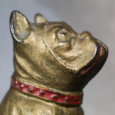 Antique Bulldog Penny Bank | Cast Iron Bulldog Bank with Gold and Red Paint | Piggy Bank | Bixley Shop 