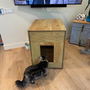 Litter Box Enclosure FOR Litter Robot 4 and 3, Modern CAT Furniture, Pet Furniture, Cat Side Cabinet Table, Litter nightstand, Litter Trays 