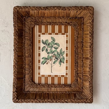 19th C. Rumpf Engraving in Gusto Woven Frame III