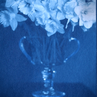 Copy of &quot;Daffodils in Glass Urn&quot; | David Sokosh
