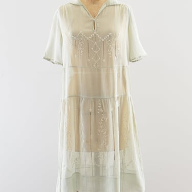 1920's Sheer Embroidered Dress