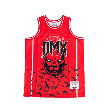 Aaliyah x DMX Jersey