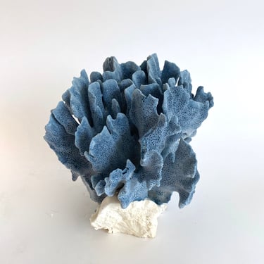 Natural Blue Coral on Lucite Base Coastal Home Beach Style Decor 