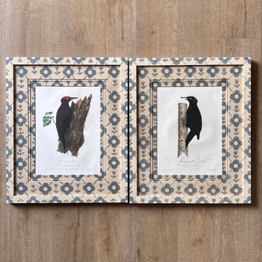 Pair of Woodpeckers in Gusto Painted Frame and Mat