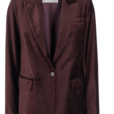 Single Breasted Velvet Jacket