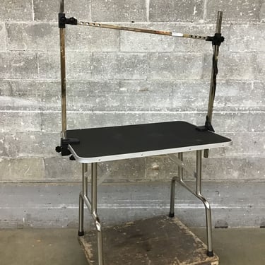 Dog Grooming Table (Seattle)