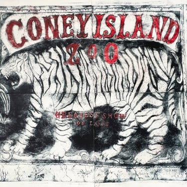 Mitsushige Nishiwaki | &quot;Coney Island Tiger&quot;