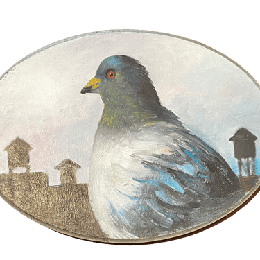&quot;Stewart&quot; Pigeon