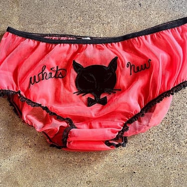 1960s Nylon Appliqued Panties What's New Pussycat 