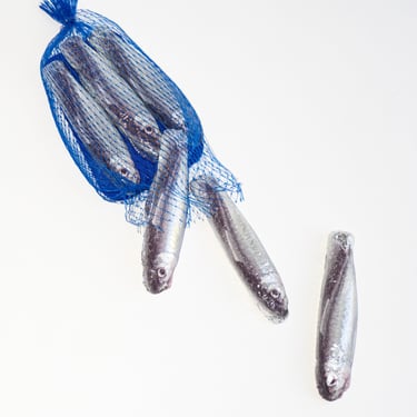 Sardine Chocolate in Blue Net