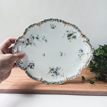 H & Co Serving Serving Plate/ Haviland Co Limoges Pour J W Putts Baltimore MD/Collectible/Farmhouse French Country Cottage English Garden 