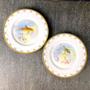 Fish cabinet plates - a pair - D&C France, L. Bernardaud Co. - antique 1900s plates 