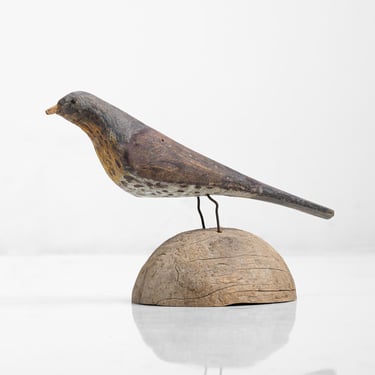 Carved Song Thrush