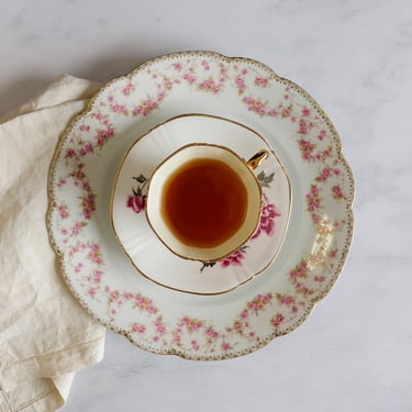 vintage royal adderley teacup, number 1554