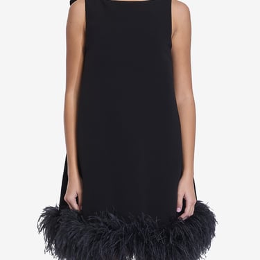 Valentino Garavani Women Mini Dress With Feathers