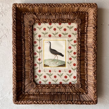 Gusto Woven Frame with Francois Nicolas Martinet Hand-Colored Bird Engraving I