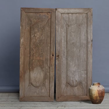 Pair of 18th Century Dutch Colonial Teak Cabinet Doors with Iron Ring Handle