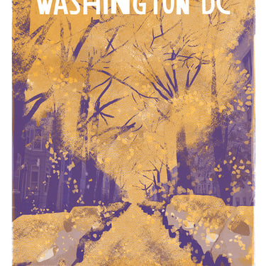 Gingko Trees - Washington DC