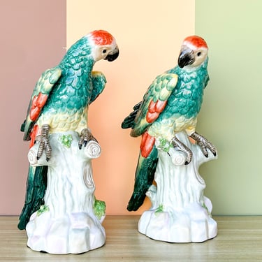 Pair of Stunning Chelsea House Parakeets