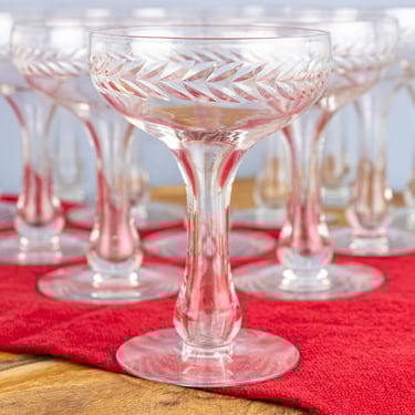 Vintage Etched Hollow Stem Champagne Coupes - Set of 12
