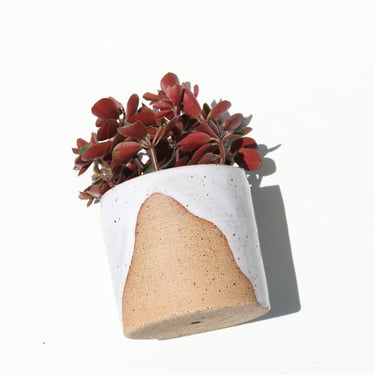 Ceramic Planter / Small Indoor Planter / Cactus Plant Pot / Succulent Plant Pot 