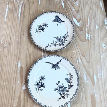 Beautiful vintage French set of 2 ironstone desert plates 