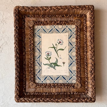 Gusto Woven Frame with 18th C. Phillip Miller Botanical Hand-Colored Engraving VIII