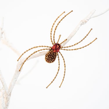 Cellar Spider Embroidered Pin