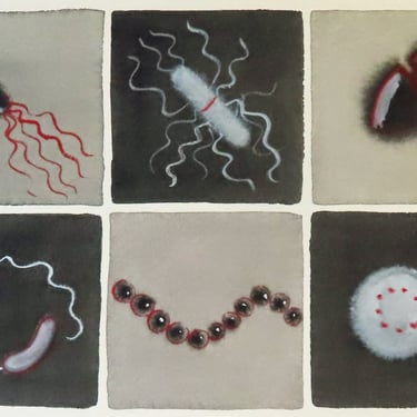 Black, White and Red Bacteria - original watercolor painting of microbes - microbiology art 
