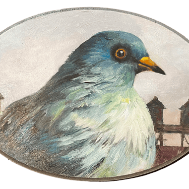 "Garnet" Pigeon