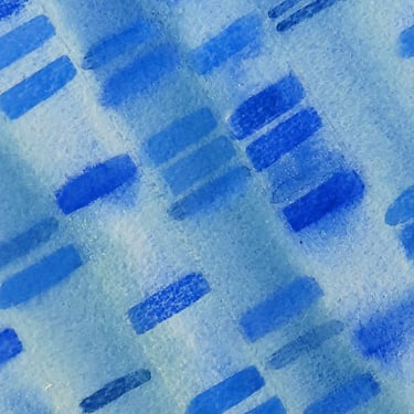 Gel Electrophoresis in Cobalt Blue 2 - Original Watercolor Painting- Genetics DNA art 