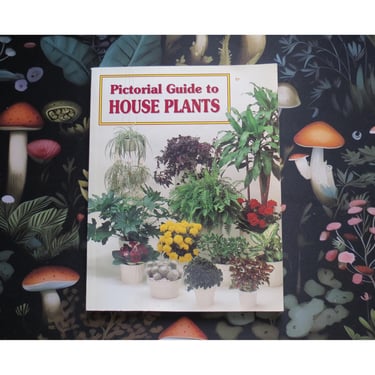 Pictorial Guide to House Plants - Indoor Plant Guide - Vintage 1990s 90s Houseplant Book 