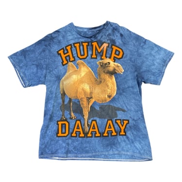 (XL) Blue Tie Dye The Mountain Hump Day T-Shirt 030922 JF