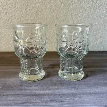 Vintage Set of Two Daisy Libbey Juice Glasses, Mid Century Country Garden Daisy, Retro glassware 