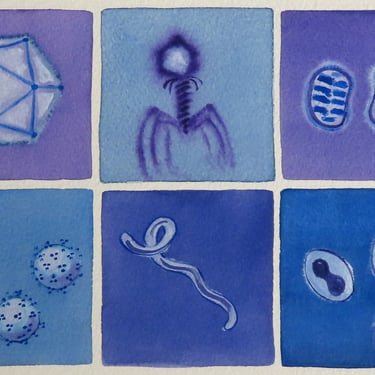 Viruses in Lavender and Blue  - original watercolor painting - microbiology art 