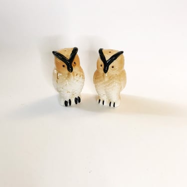 Vintage Owl Salt and Pepper Shakers Novelty Ceramic Wise Old Owls Salt and Pepper Shakers Barn Yard Bird Table Dining Decor 