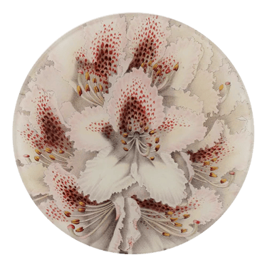 Prince Camille de Rohan Rhododendron 5 1/4&quot; Round Plate