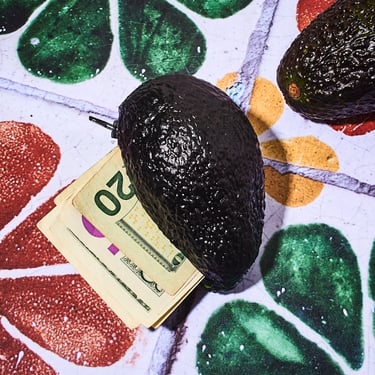 Food Coin Purse - Avocado