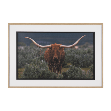 Longhorn 5 Wall Art