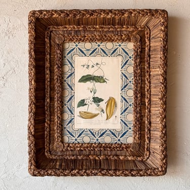 Gusto Woven Frame with 18th C. Phillip Miller Botanical Hand-Colored Engraving V