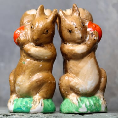 Squirrel Salt and Pepper Shakers | Hand Painted. in Japan | Antique Salt & Pepper | Squirrels with Red Fruit | Cork Stoppers 