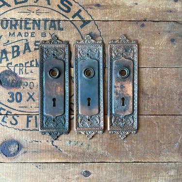 Set of 3 1890s Pressed Ornate Door Plates 