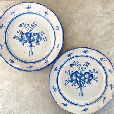 Antique Ironstone Blue and White 10” Plates~  rare collectors dish~ 