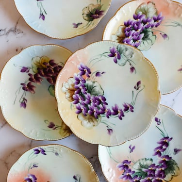 turn of the century limoges hand painted plates, set of 6