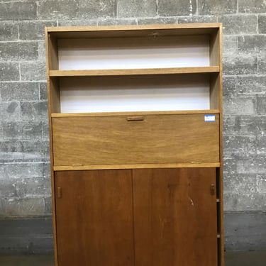 Unique Mid-Century Storage Cabinet (Seattle)