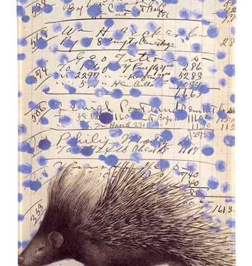 Porcupine 6" x 9" Rectangular Tray