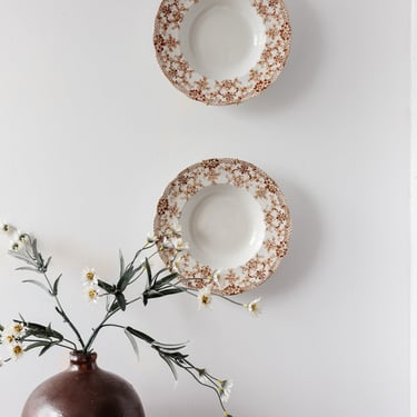 pair of turn of the century stoke on trent transferware bowls