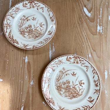 Beautiful set of 2 vintage English ironstone plates 