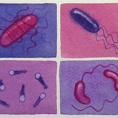 Bacteria in Purple and Pink - original watercolor painting - microbe art 